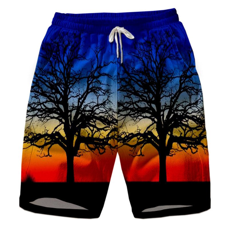 Men's Casual Island Sunset Gradient Print Beach Shorts - DUVAL